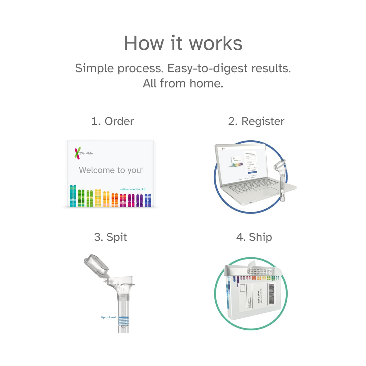 DNA Test Kit I190