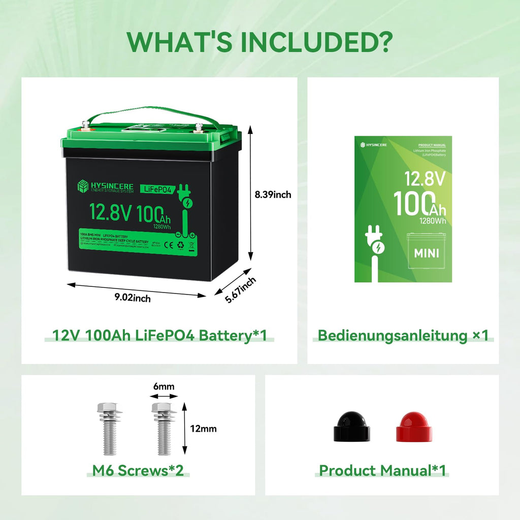 12V 100Ah LiFePO4 Lithium Battery with 100A BMS D227