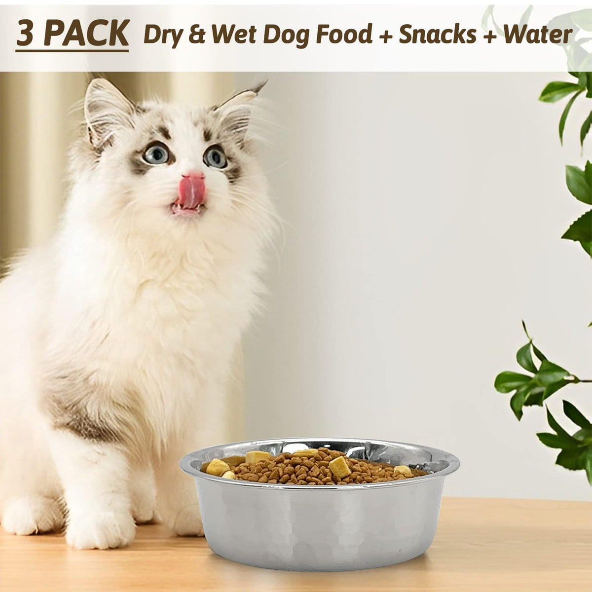 3 Pack Stainless Steel Cat Bowls G58596