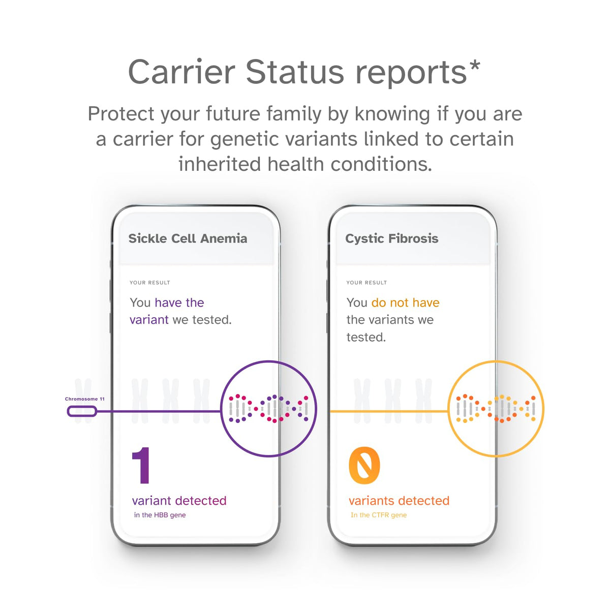 DNA Test Kit I190