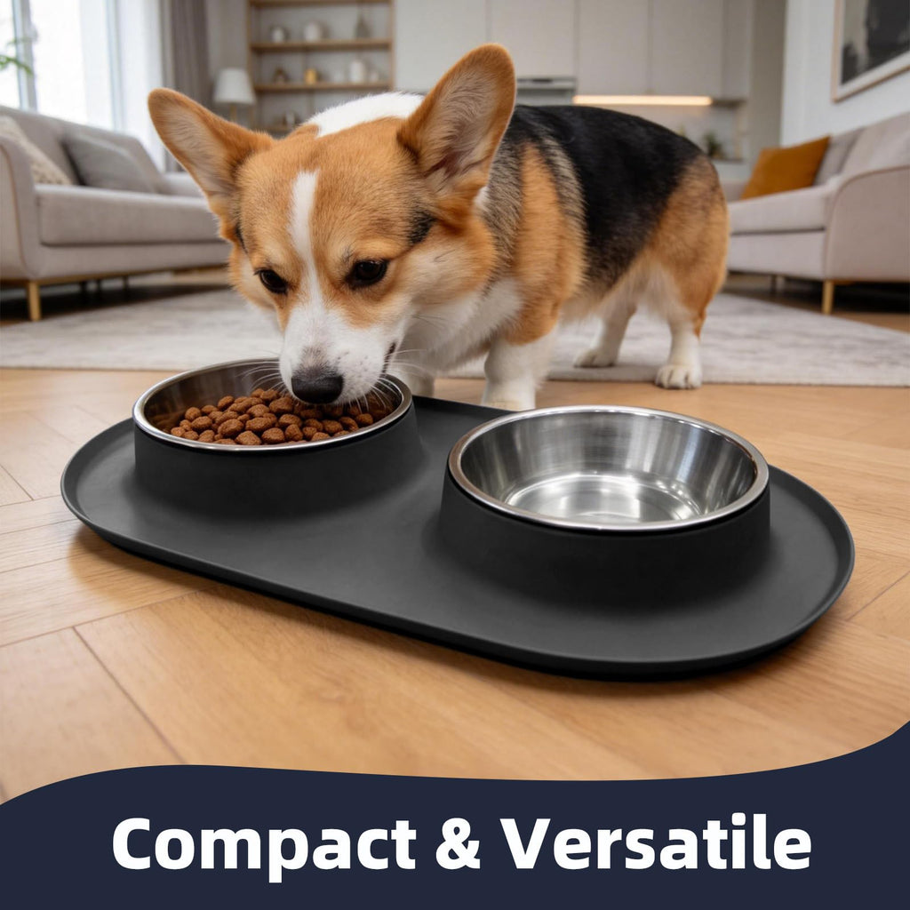 Stainless Steel Cat Food Bowls with Non-Slip Mat, 1.5 Cups Each V720