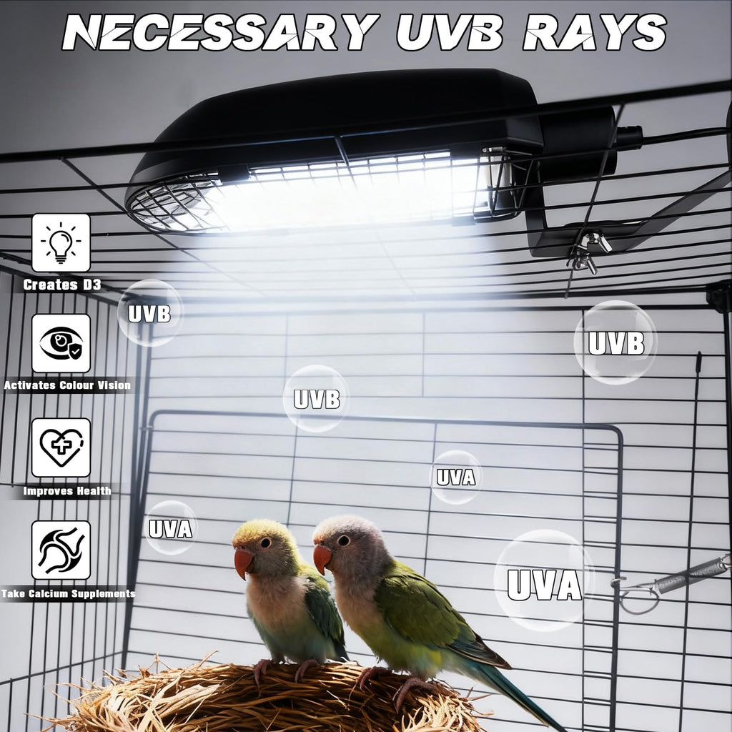 Bird Cage Light Fixture Combo Kit with Adjustable Timer I236