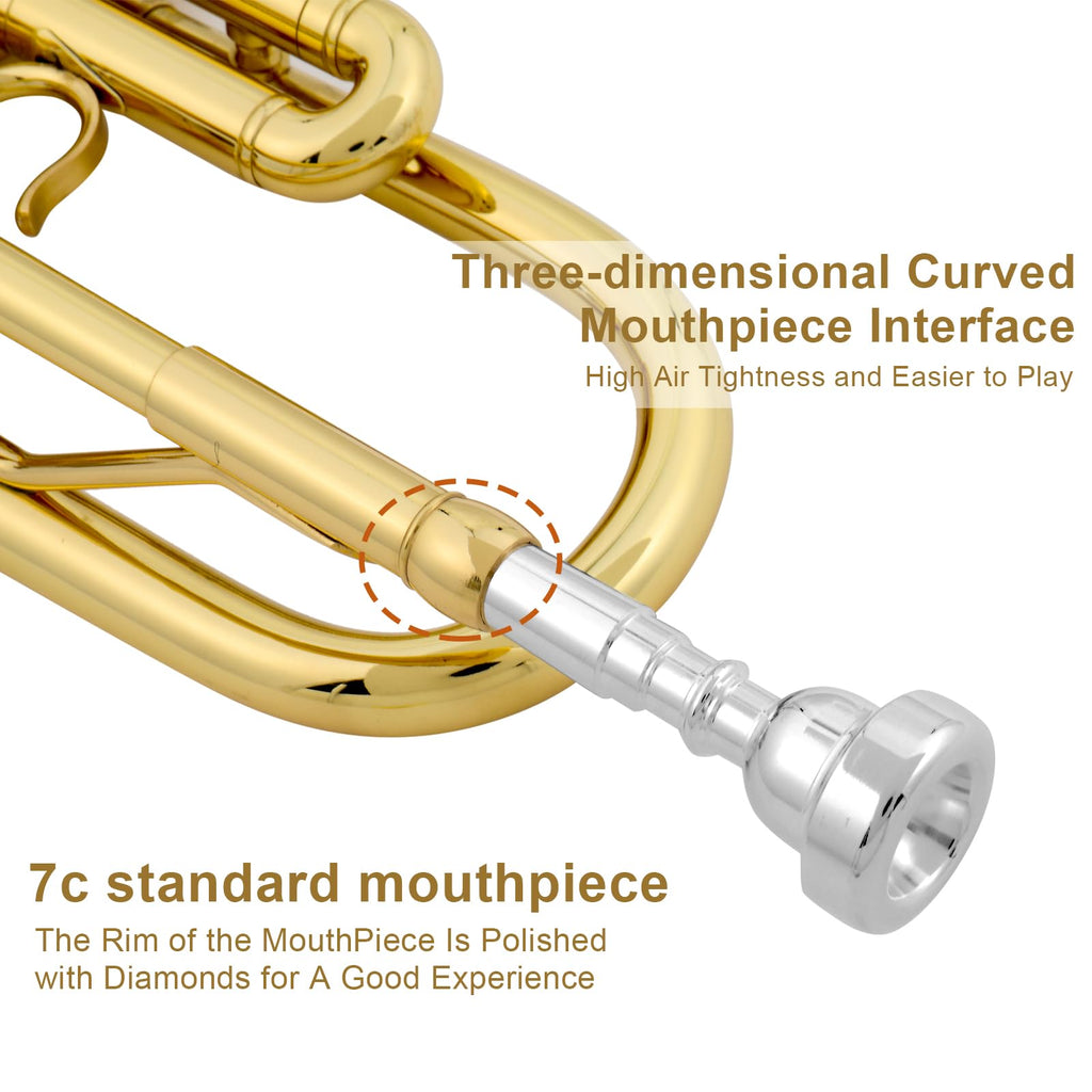 Bb Standard Trumpet Set Z54550