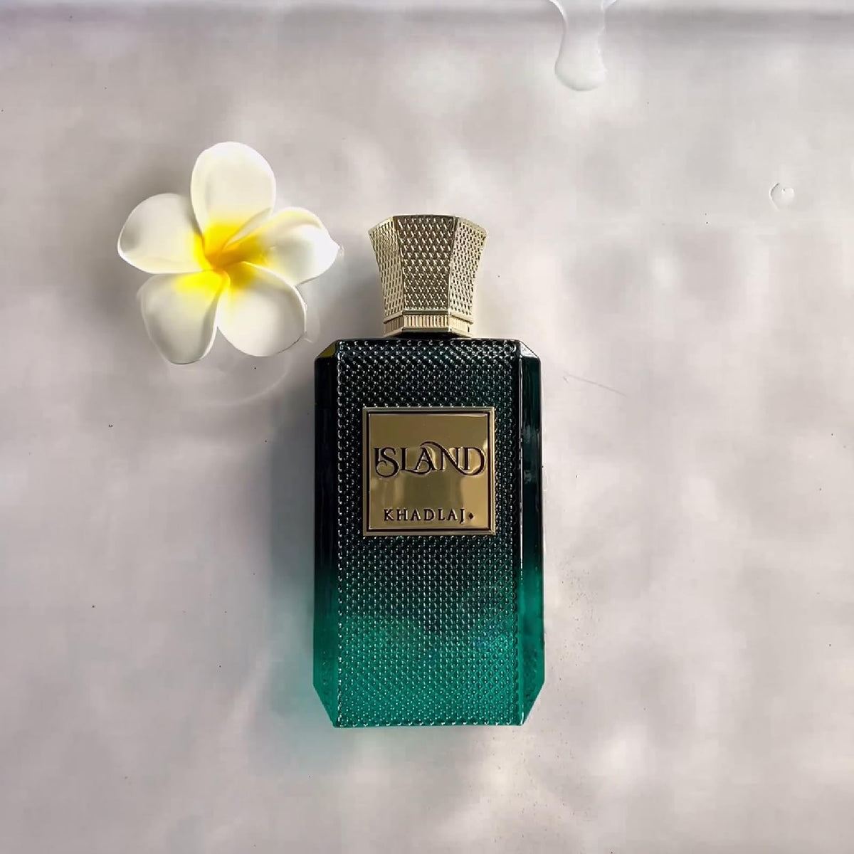 3.4 Ounce Unisex Extrait de Parfum Spray U3957