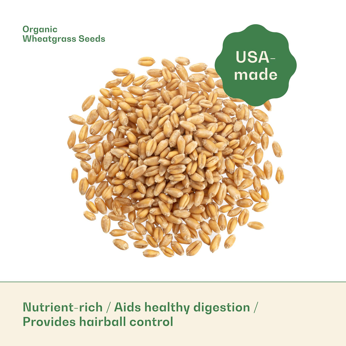 Organic Wheat Grass Seeds 16 Ounces R6853