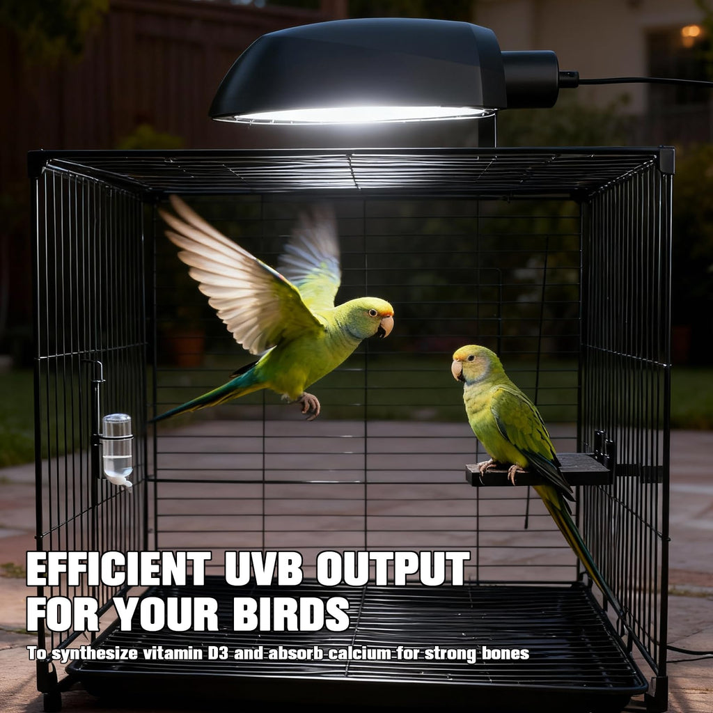 Bird Cage Light Fixture Combo Kit with Adjustable Timer I236