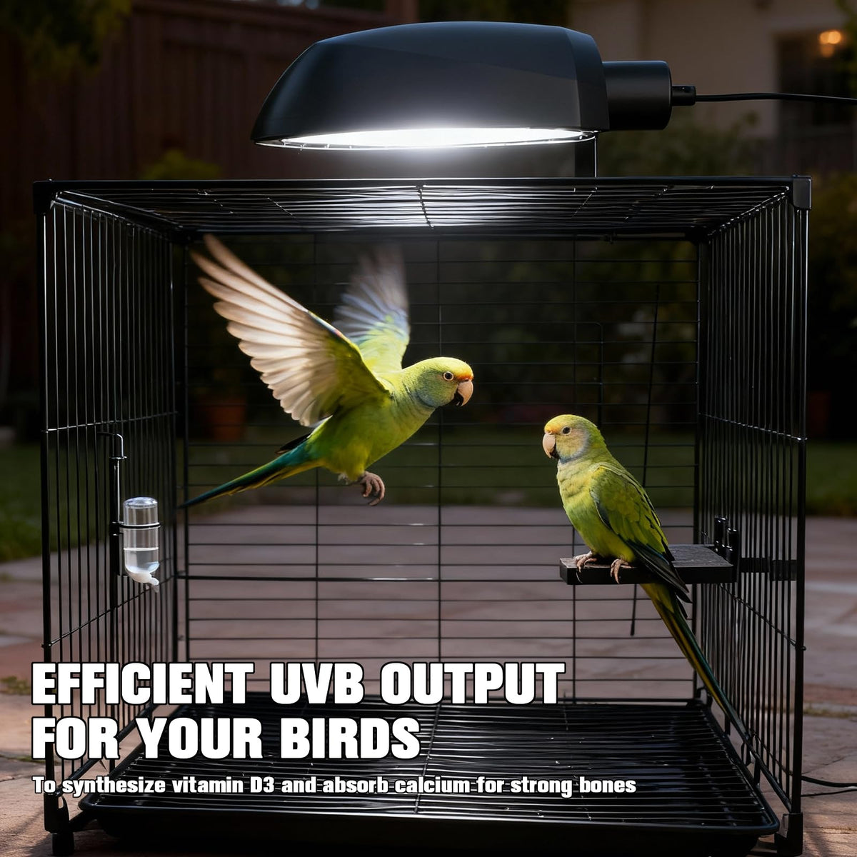 Bird Cage Light Fixture Combo Kit with Adjustable Timer I236