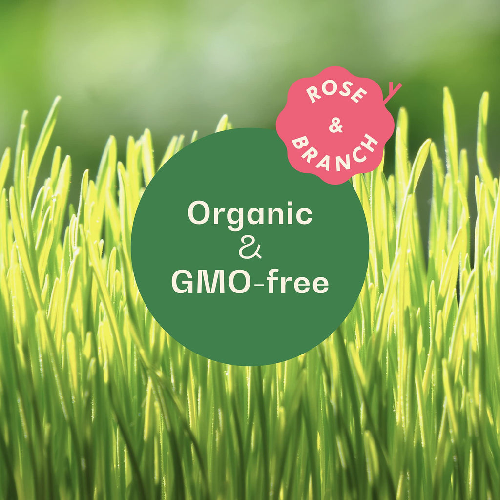 Organic Wheat Grass Seeds 16 Ounces R6853
