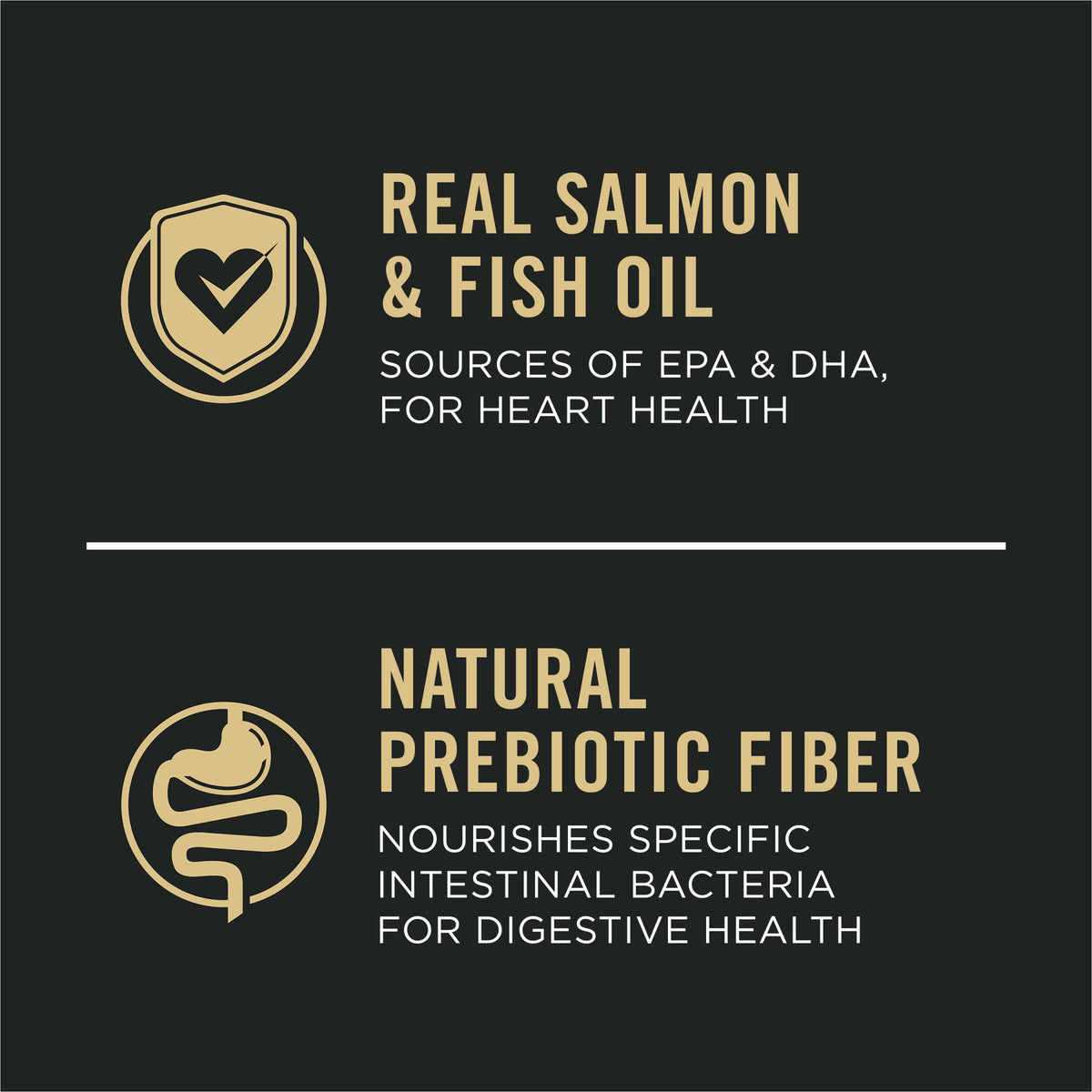 Salmon Dry Dog Food P9259