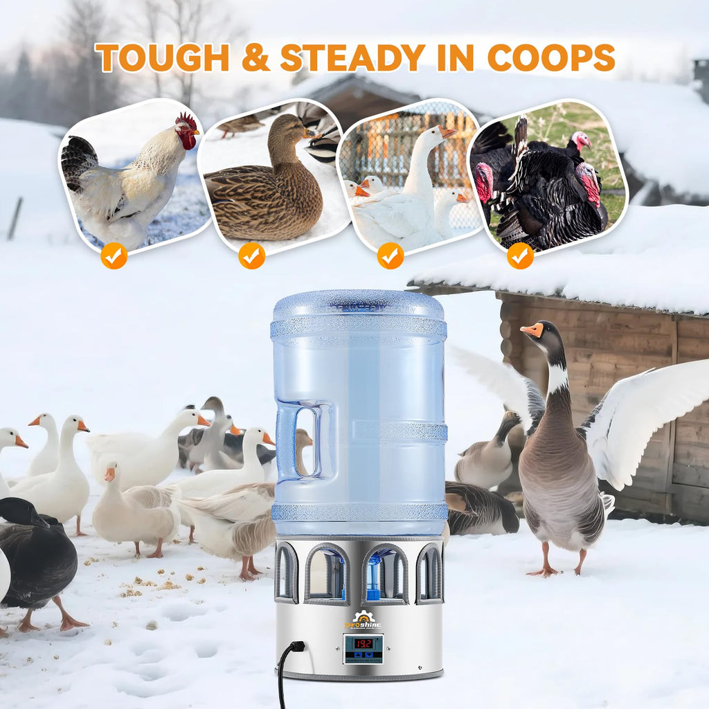 Heated Chicken Waterer 5 Gallon X617