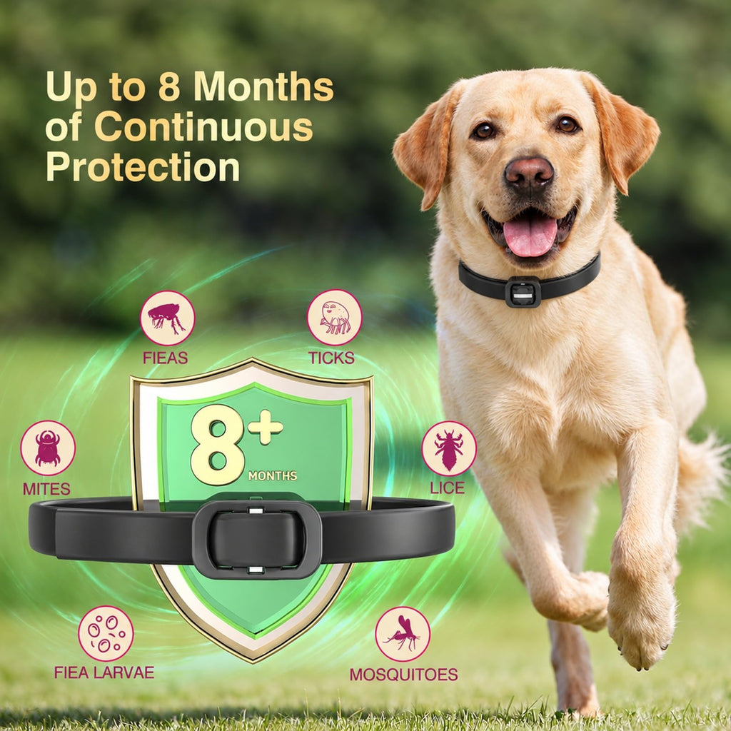 4 Pack Dog Flea Collar R9451