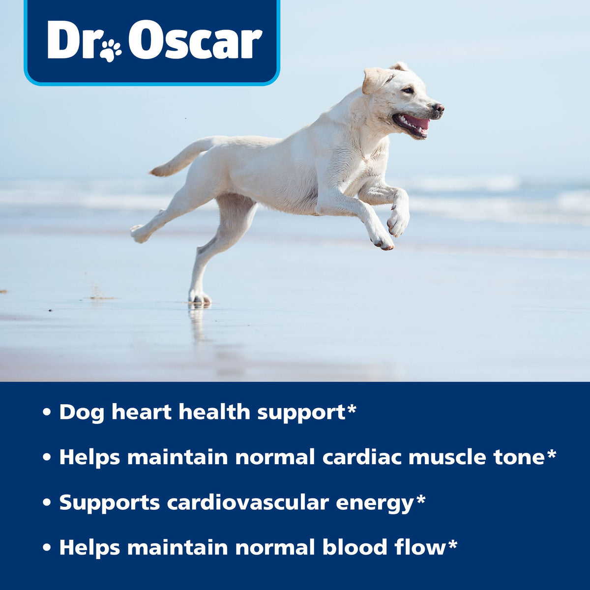 Taurine Supplement for Dogs 120ct O67243