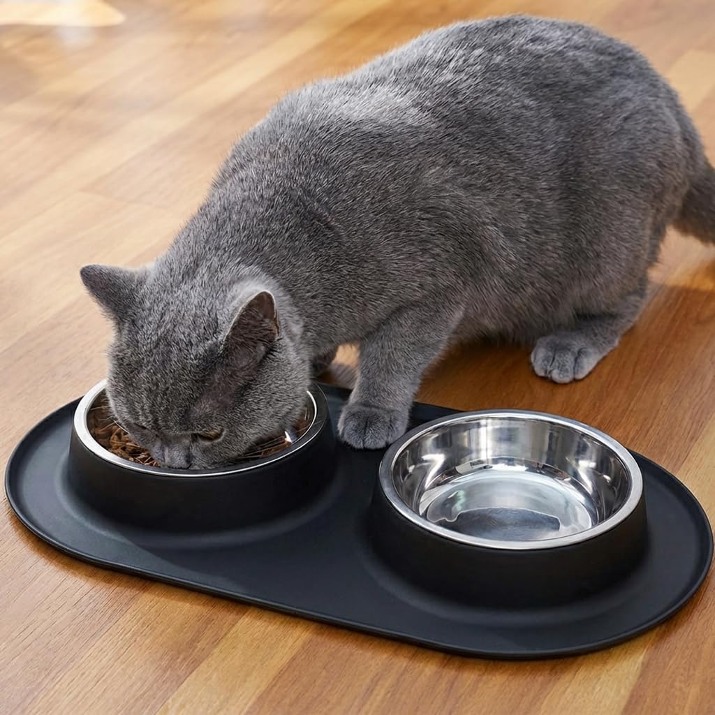 Stainless Steel Cat Food Bowls with Non-Slip Mat, 1.5 Cups Each V720