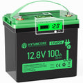 12V 100Ah LiFePO4 Lithium Battery with 100A BMS D227