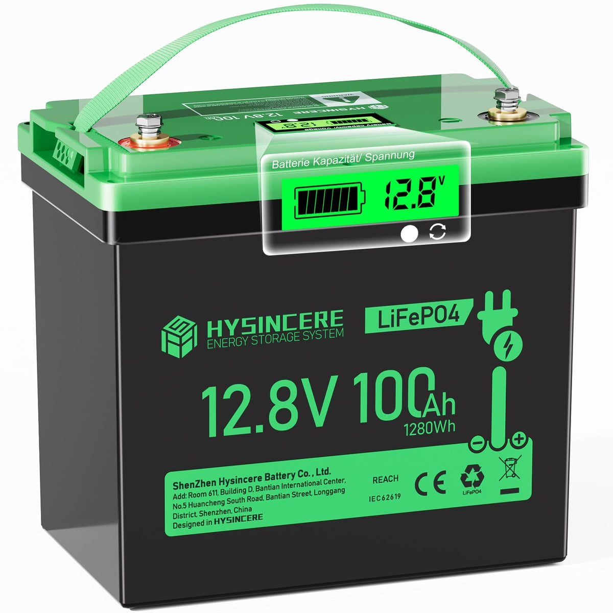 12V 100Ah LiFePO4 Lithium Battery with 100A BMS D227