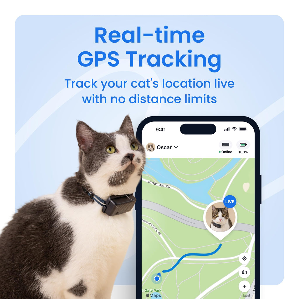 Cat GPS Tracker with Breakaway Collar T319092