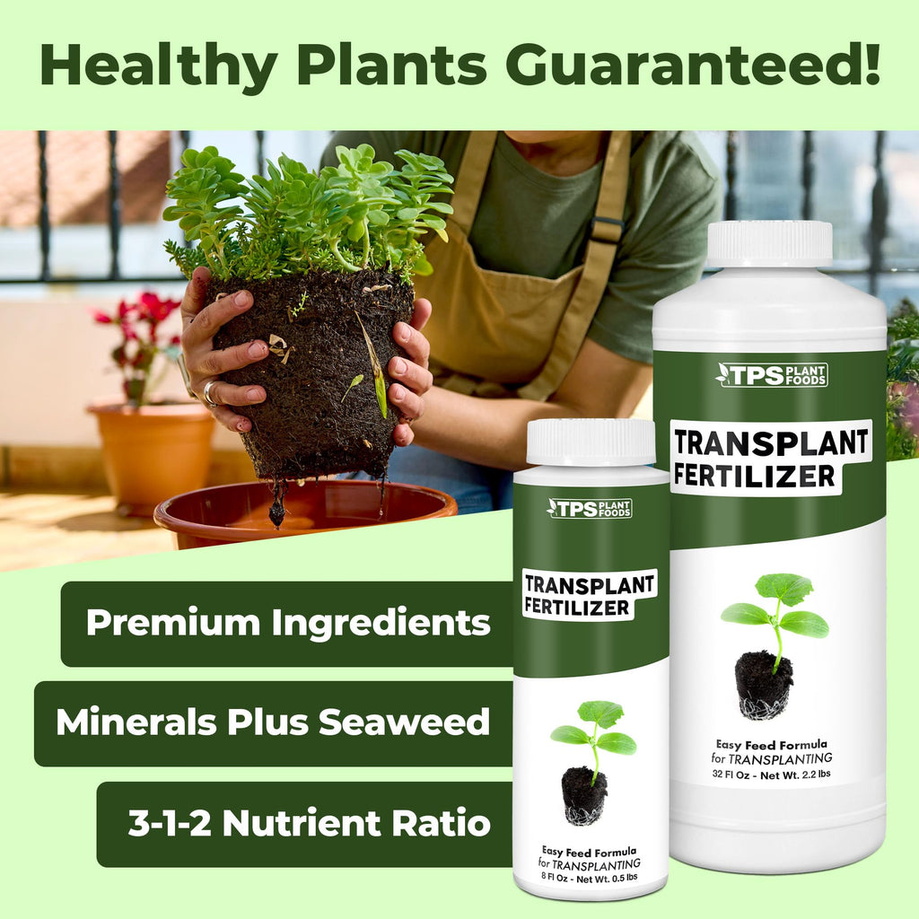 Liquid Plant Food 8 oz F483