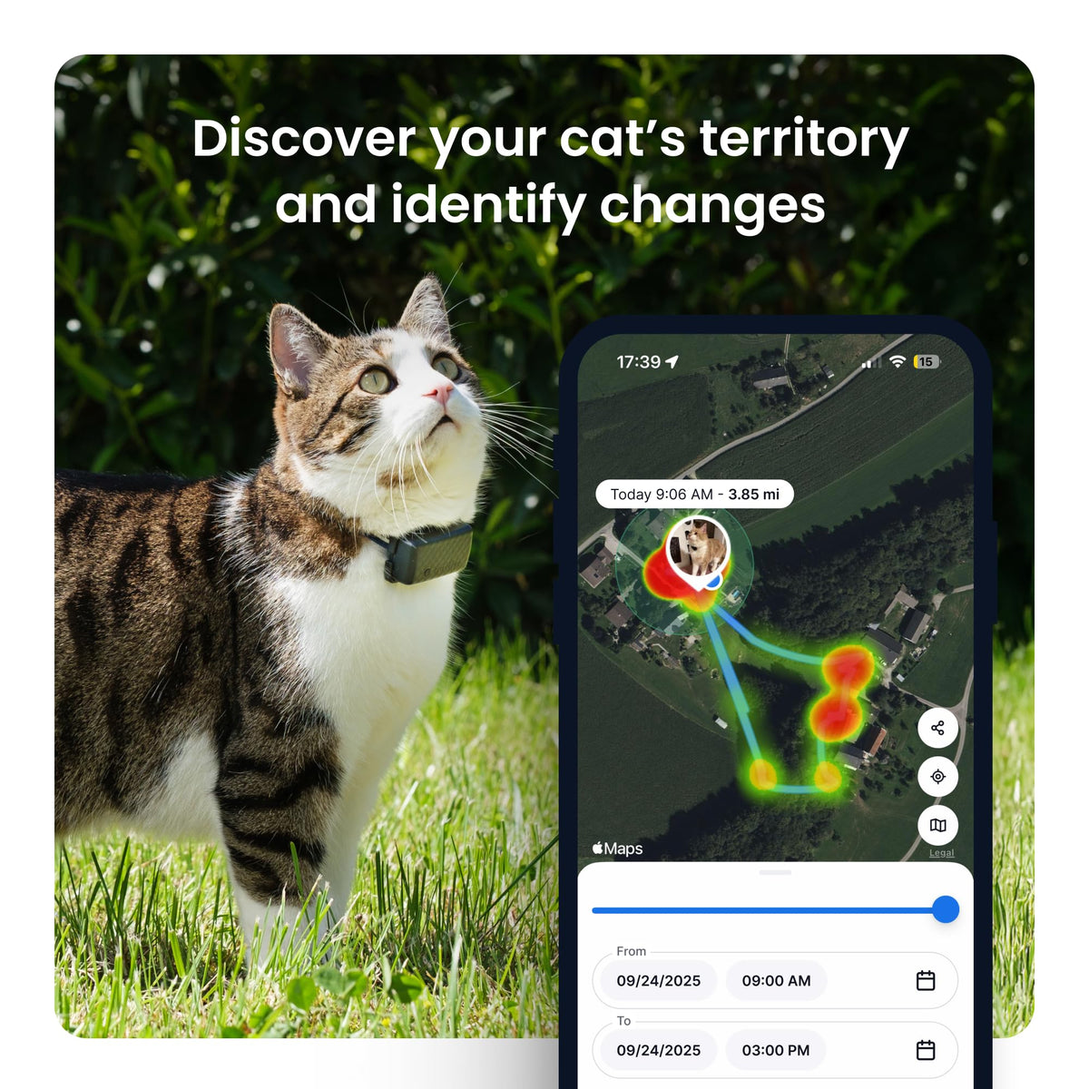 Cat GPS Tracker with Breakaway Collar T319092