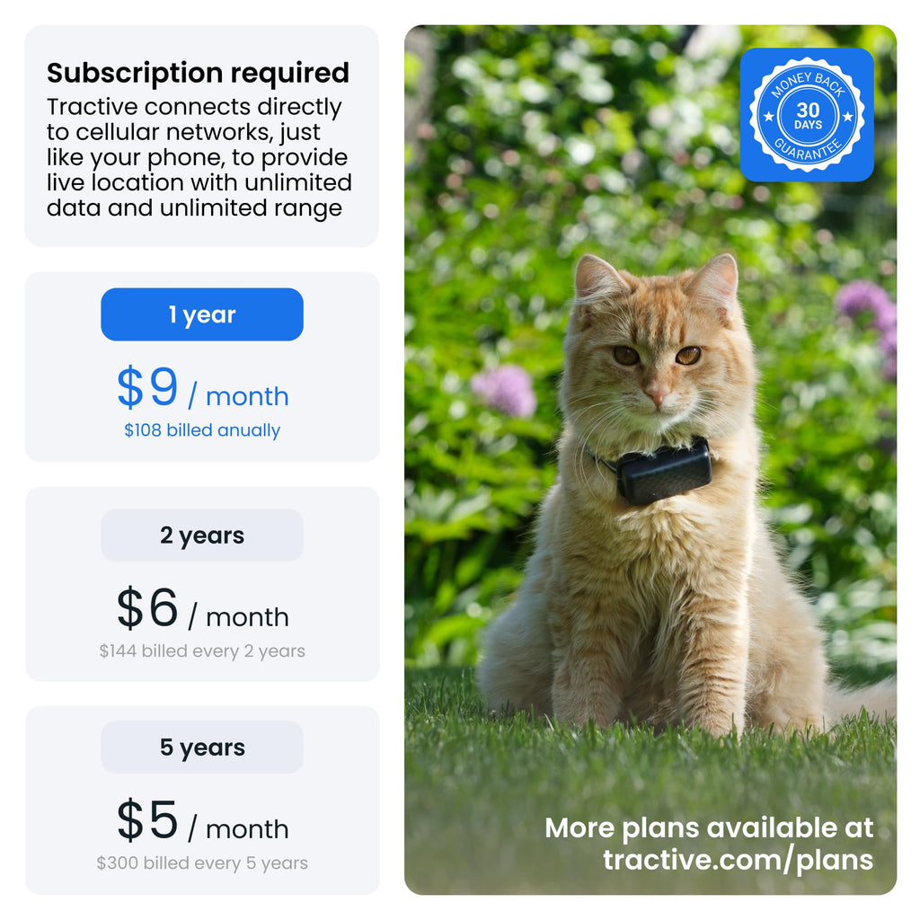 Cat GPS Tracker with Breakaway Collar T319092