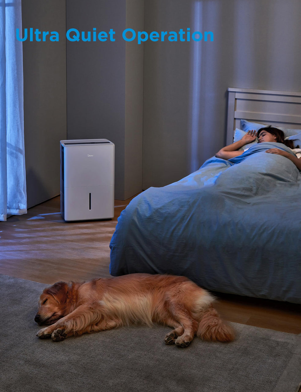 50 Pint Dehumidifier with Pump L415