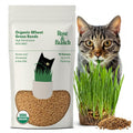 Organic Wheat Grass Seeds 16 Ounces R6853