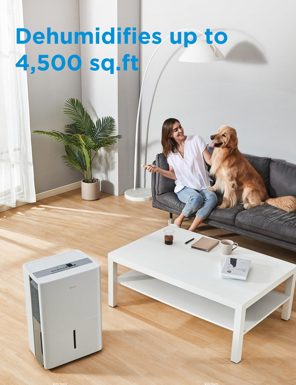 50 Pint Dehumidifier with Pump L415