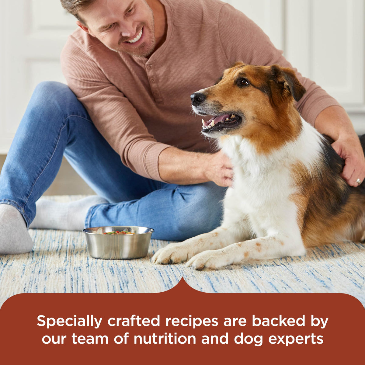 Savory Favorites Wet Dog Food Variety Pack, 8 oz Tubs S6296