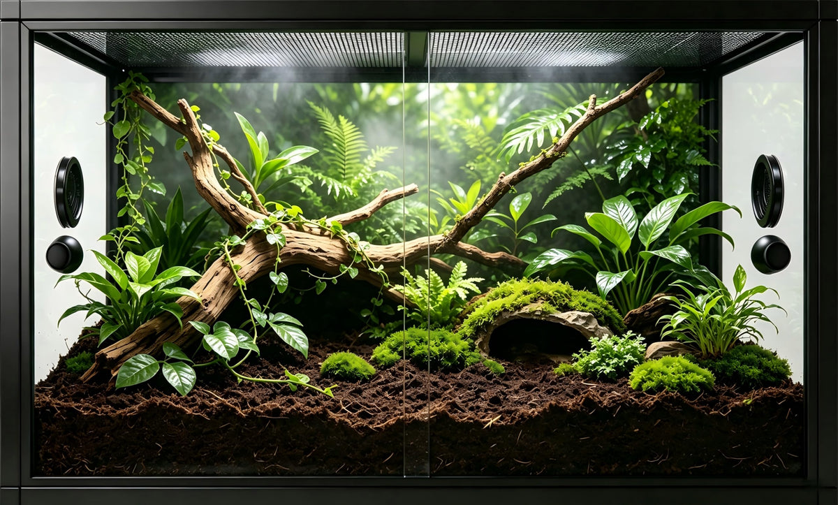 50 Gallon Front Opening Reptile Tank G939