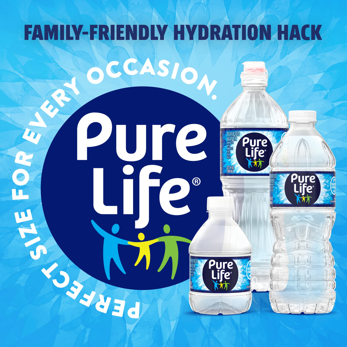 Purified Bottled Water 16.9 oz Case of 24 M65240