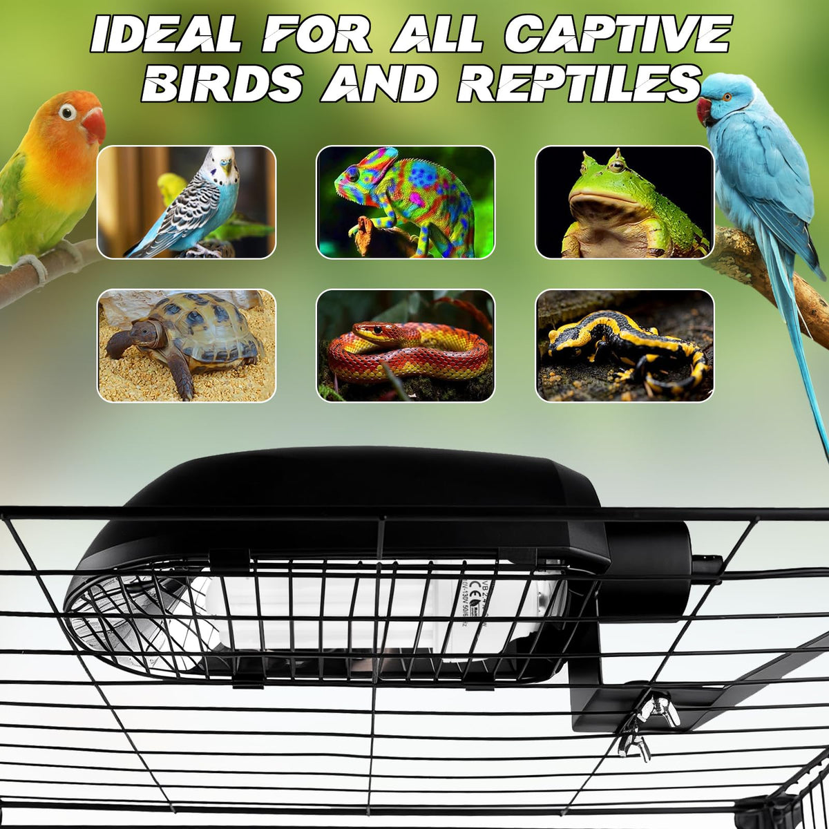 Bird Cage Light Fixture Combo Kit with Adjustable Timer I236