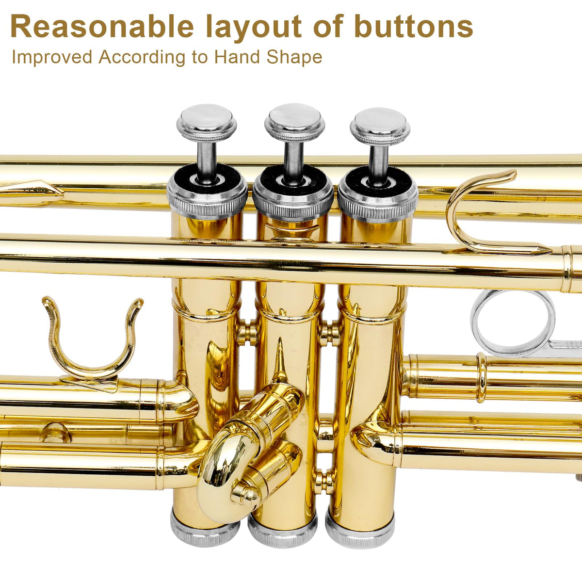 Bb Standard Trumpet Set Z54550