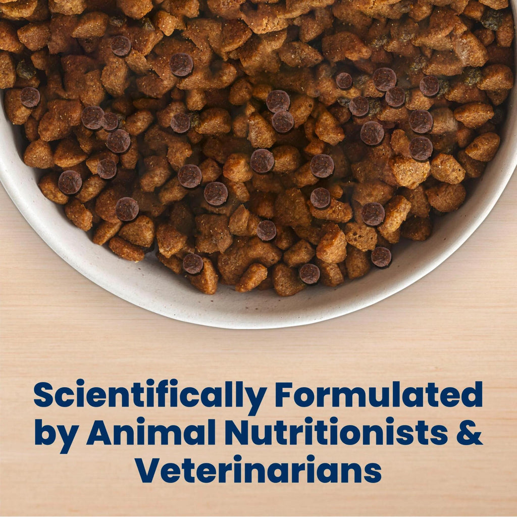 Chicken Adult Dry Dog Food 5 lb J41112