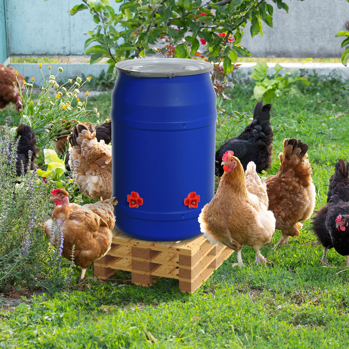 40 Pcs Chicken Waterer Nipples with Drill Bit G241
