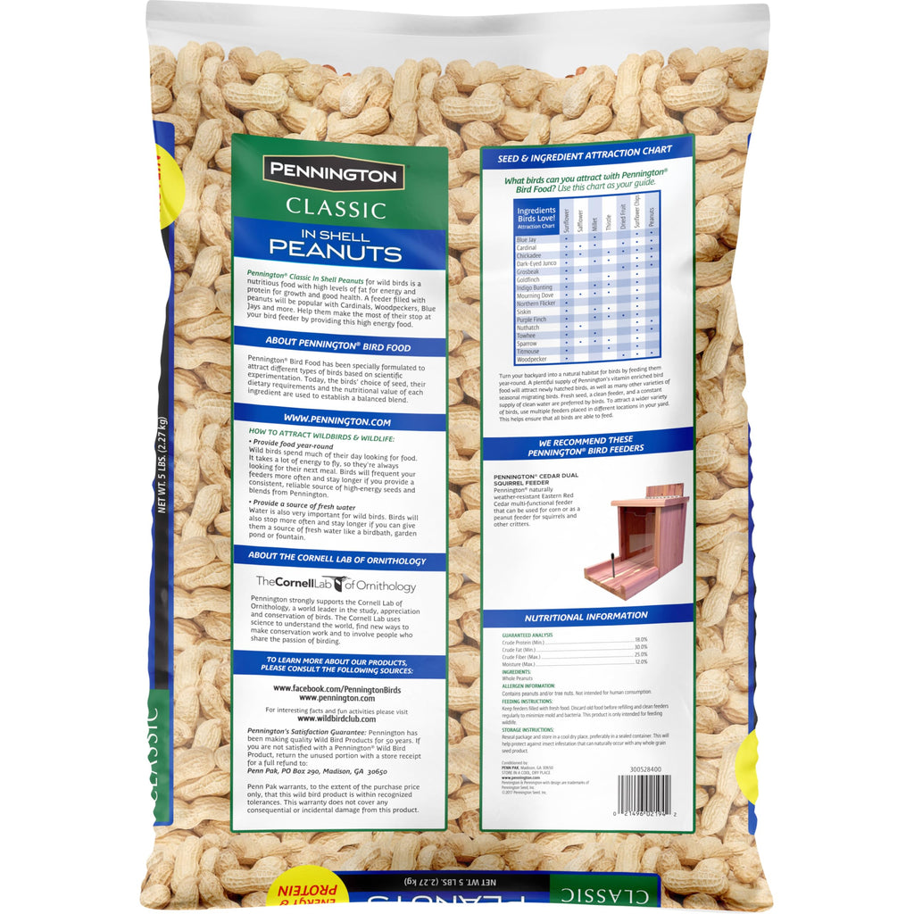Shell Peanuts 5 pounds B998612